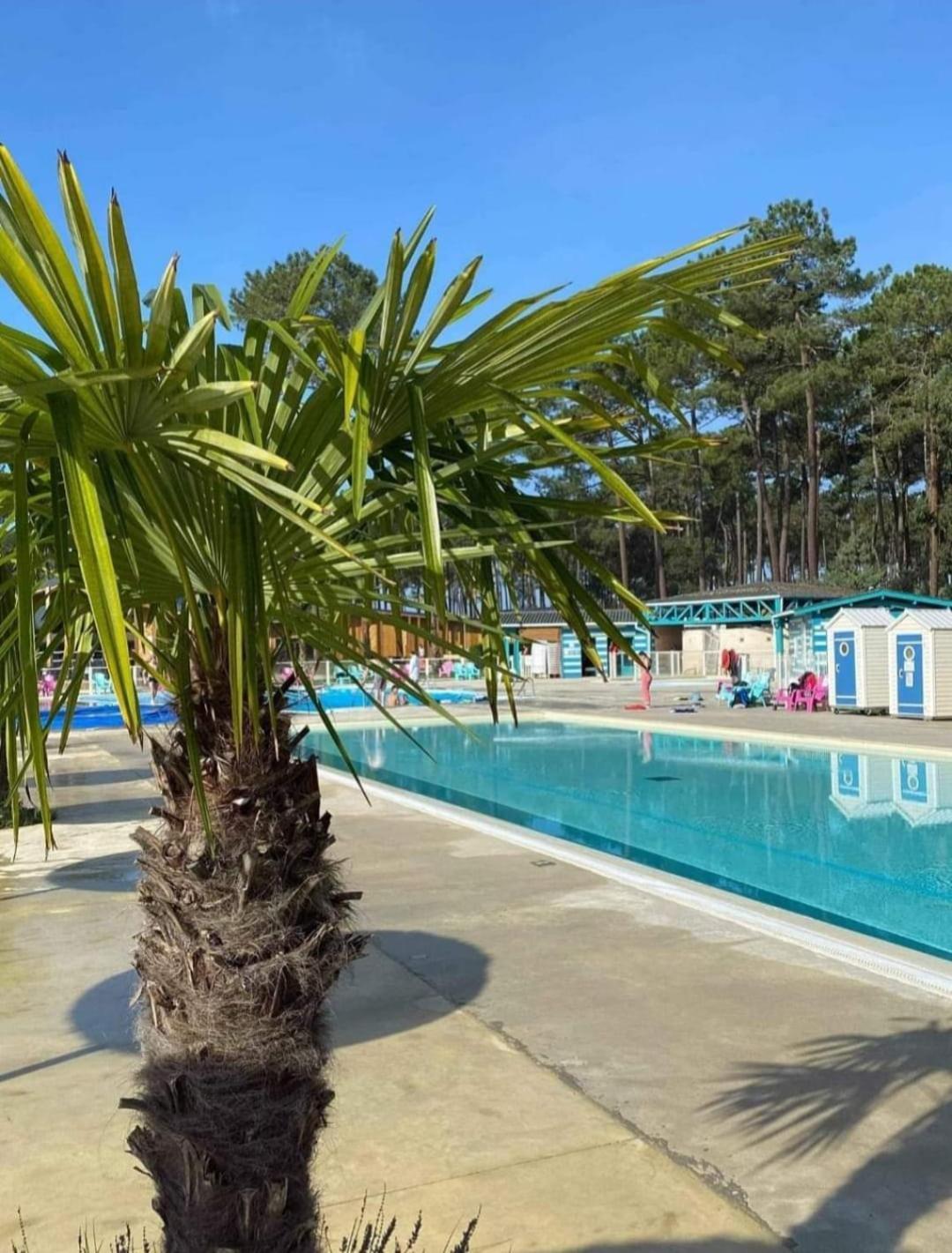 Apartment Les Dunes De Contis 4 Etoiles Empl 182 3ch 1sdb 6 Pers Saint-Julien-en-Born